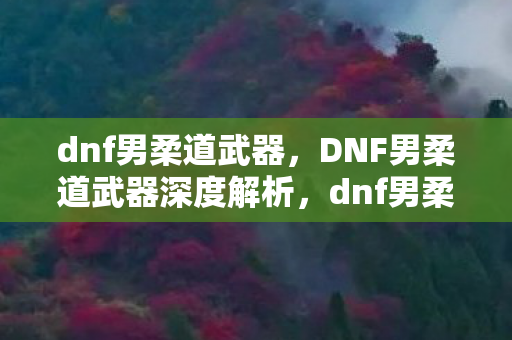 dnf男柔道武器,DNF男柔道武器深度解析,dnf男柔道武器选择 dnf男柔道武器,DNF男柔道武器深度解析,dnf男柔道武器选择