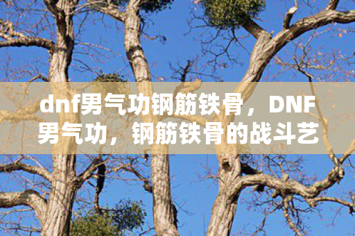 dnf男气功钢筋铁骨,DNF男气功,钢筋铁骨的战斗艺术,dnf女气功钢筋铁骨 dnf男气功钢筋铁骨,DNF男气功,钢筋铁骨的战斗艺术,dnf女气功钢筋铁骨