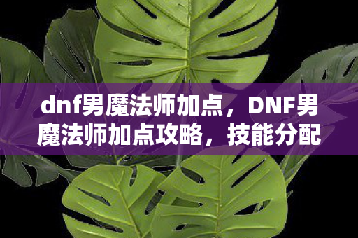 dnf男魔法师加点，DNF男魔法师加点攻略，技能分配与强化建议，dnf男魔法师加点图