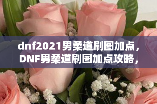 dnf2021男柔道刷图加点，DNF男柔道刷图加点攻略，技能加点与策略解析
