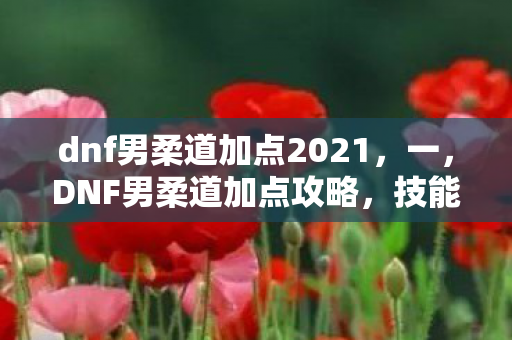 dnf男柔道加点2021,一,DNF男柔道加点攻略,技能加点推荐与实战应用 dnf男柔道加点2021,一,DNF男柔道加点攻略,技能加点推荐与实战应用