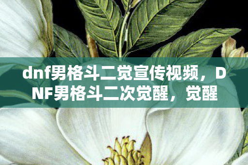 dnf男格斗二觉宣传视频,DNF男格斗二次觉醒,觉醒之力重塑格斗巅峰 dnf男格斗二觉宣传视频,DNF男格斗二次觉醒,觉醒之力重塑格斗巅峰