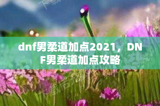 dnf男柔道加点2021,DNF男柔道加点攻略 dnf男柔道加点2021,DNF男柔道加点攻略