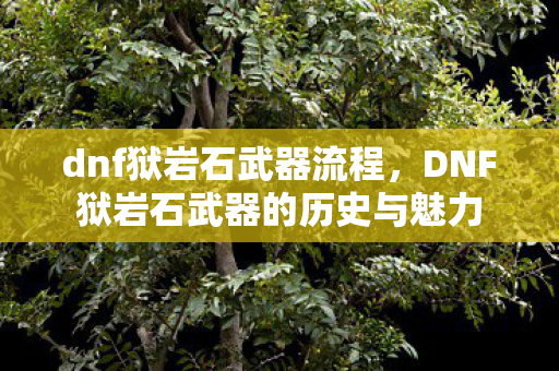dnf狱岩石武器流程,DNF狱岩石武器的历史与魅力 dnf狱岩石武器流程,DNF狱岩石武器的历史与魅力