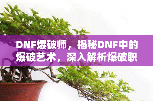 DNF爆破师,揭秘DNF中的爆破艺术,深入解析爆破职业的魅力与实战技巧 DNF爆破师,揭秘DNF中的爆破艺术,深入解析爆破职业的魅力与实战技巧