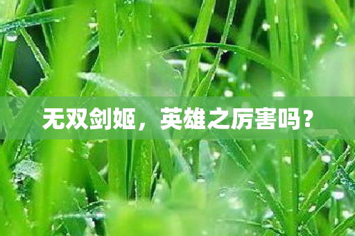 无双剑姬,英雄之厉害吗? 无双剑姬,英雄之厉害吗?