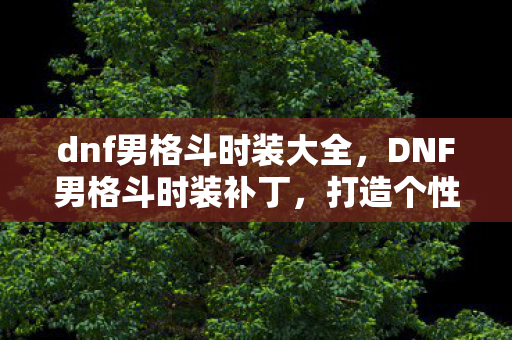 dnf男格斗时装大全,DNF男格斗时装补丁,打造个性角色外观的必备神器 dnf男格斗时装大全,DNF男格斗时装补丁,打造个性角色外观的必备神器
