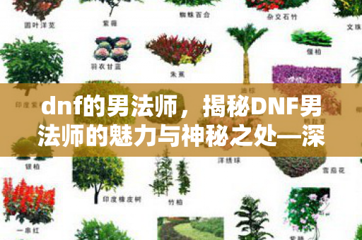 dnf的男法师,揭秘DNF男法师的魅力与神秘之处—深入解析男法师吧的独特氛围与玩家心声 dnf的男法师,揭秘DNF男法师的魅力与神秘之处—深入解析男法师吧的独特氛围与玩家心声