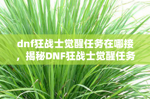 dnf狂战士觉醒任务在哪接,揭秘DNF狂战士觉醒任务的神秘面纱 dnf狂战士觉醒任务在哪接,揭秘DNF狂战士觉醒任务的神秘面纱