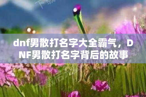 dnf男散打名字大全霸气，DNF男散打名字背后的故事与技巧