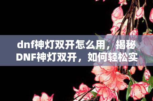 dnf神灯双开怎么用，揭秘DNF神灯双开，如何轻松实现游戏账号同步运行？