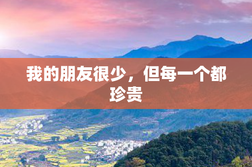 我的朋友很少，但每一个都珍贵