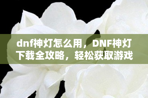 dnf神灯怎么用，DNF神灯下载全攻略，轻松获取游戏辅助工具