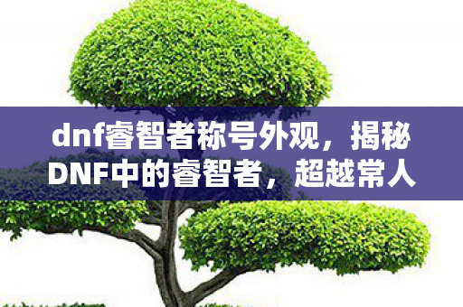 dnf睿智者称号外观,揭秘DNF中的睿智者,超越常人的游戏智慧与策略 dnf睿智者称号外观,揭秘DNF中的睿智者,超越常人的游戏智慧与策略