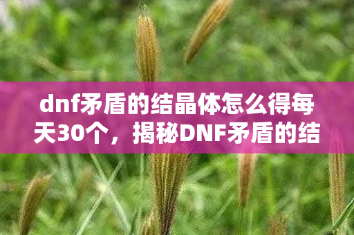 dnf矛盾的结晶体怎么得每天30个，揭秘DNF矛盾的结晶体获取之道