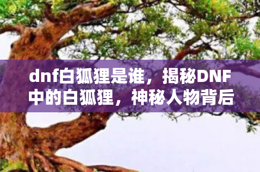dnf白狐狸是谁，揭秘DNF中的白狐狸，神秘人物背后的故事