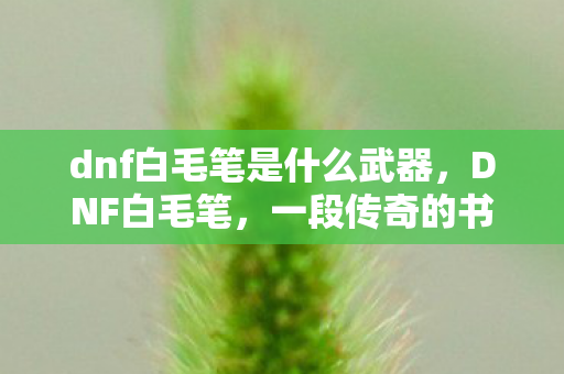dnf白毛笔是什么武器,DNF白毛笔,一段传奇的书写 dnf白毛笔是什么武器,DNF白毛笔,一段传奇的书写