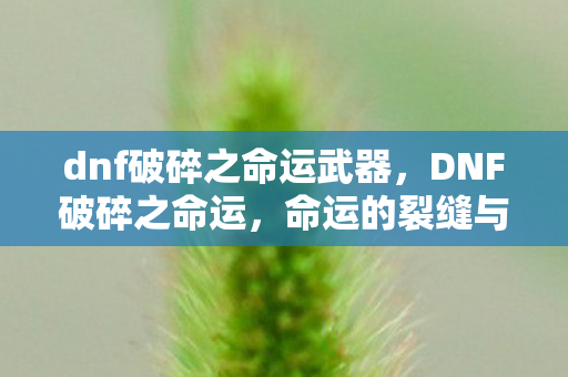 dnf破碎之命运武器，DNF破碎之命运，命运的裂缝与勇士的抉择