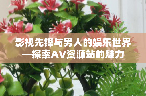 影视先锋与男人的娱乐世界—探索AV资源站的魅力 影视先锋与男人的娱乐世界—探索AV资源站的魅力