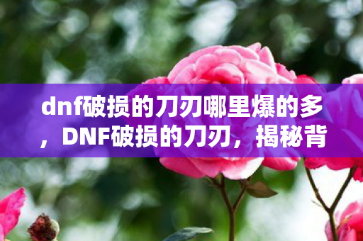 dnf破损的刀刃哪里爆的多，DNF破损的刀刃，揭秘背后的故事与重生之路
