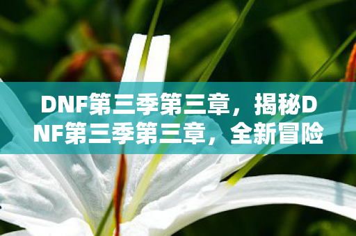 DNF第三季第三章，揭秘DNF第三季第三章，全新冒险与挑战的篇章