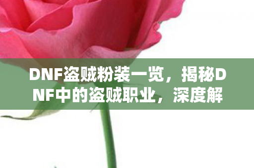 DNF盗贼粉装一览，揭秘DNF中的盗贼职业，深度解析与攻略指南