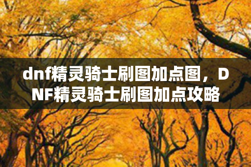 dnf精灵骑士刷图加点图，DNF精灵骑士刷图加点攻略