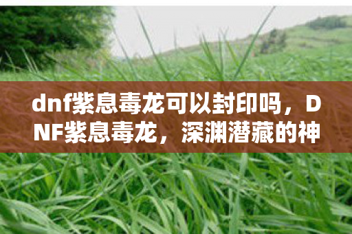 dnf紫息毒龙可以封印吗,DNF紫息毒龙,深渊潜藏的神秘力量 dnf紫息毒龙可以封印吗,DNF紫息毒龙,深渊潜藏的神秘力量