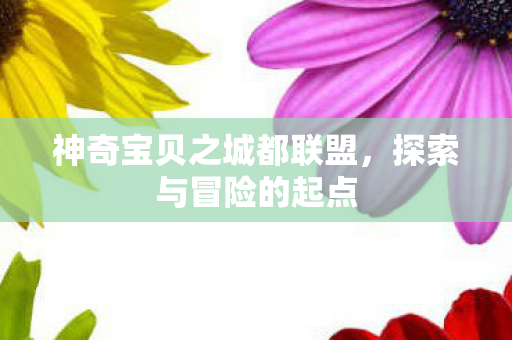神奇宝贝之城都联盟,探索与冒险的起点 神奇宝贝之城都联盟,探索与冒险的起点
