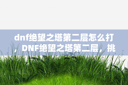 dnf绝望之塔第二层怎么打,DNF绝望之塔第二层,挑战与机遇并存的无尽深渊 dnf绝望之塔第二层怎么打,DNF绝望之塔第二层,挑战与机遇并存的无尽深渊
