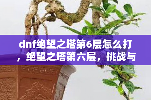dnf绝望之塔第6层怎么打，绝望之塔第六层，挑战与突破