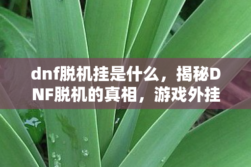 dnf脱机挂是什么，揭秘DNF脱机的真相，游戏外挂背后的故事