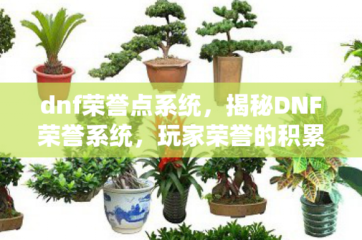 dnf荣誉点系统，揭秘DNF荣誉系统，玩家荣誉的积累与奖励机制