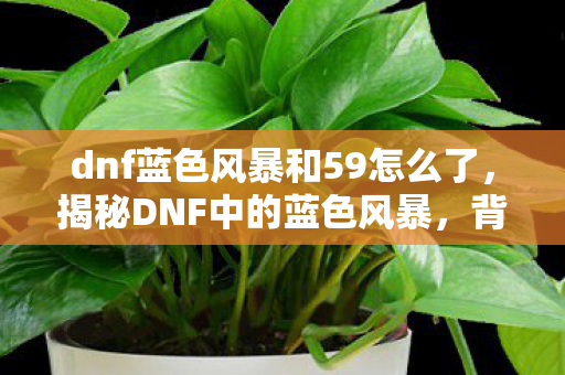 dnf蓝色风暴和59怎么了,揭秘DNF中的蓝色风暴,背后的故事与深层含义 dnf蓝色风暴和59怎么了,揭秘DNF中的蓝色风暴,背后的故事与深层含义