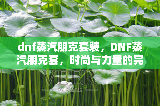 dnf蒸汽朋克套装,DNF蒸汽朋克套,时尚与力量的完美结合 dnf蒸汽朋克套装,DNF蒸汽朋克套,时尚与力量的完美结合