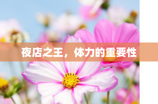 夜店之王,体力的重要性 夜店之王,体力的重要性
