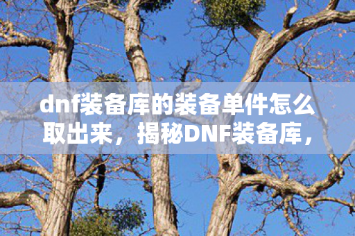 dnf装备库的装备单件怎么取出来,揭秘DNF装备库,如何打造无敌角色装备搭配攻略 dnf装备库的装备单件怎么取出来,揭秘DNF装备库,如何打造无敌角色装备搭配攻略