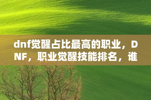 dnf觉醒占比最高的职业,DNF,职业觉醒技能排名,谁将成为最强觉醒者? dnf觉醒占比最高的职业,DNF,职业觉醒技能排名,谁将成为最强觉醒者?
