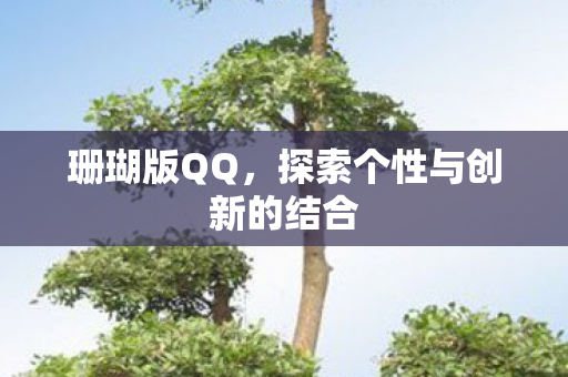 珊瑚版QQ,探索个性与创新的结合 珊瑚版QQ,探索个性与创新的结合