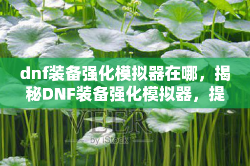 dnf装备强化模拟器在哪，揭秘DNF装备强化模拟器，提升装备，轻松成为顶尖玩家！