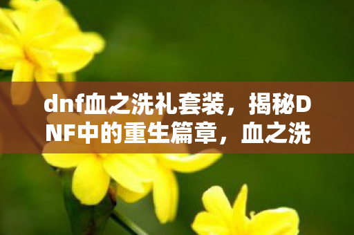 dnf血之洗礼套装,揭秘DNF中的重生篇章,血之洗礼 dnf血之洗礼套装,揭秘DNF中的重生篇章,血之洗礼