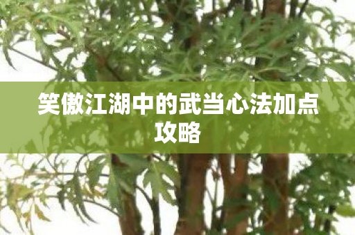 笑傲江湖中的武当心法加点攻略 笑傲江湖中的武当心法加点攻略