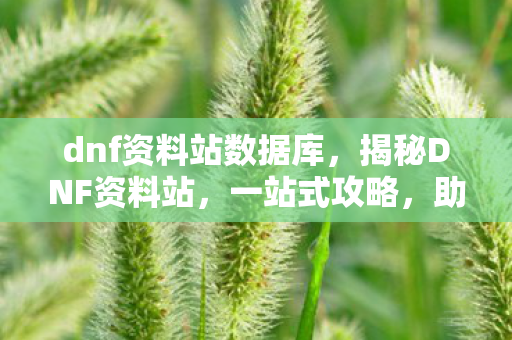 dnf资料站数据库,揭秘DNF资料站,一站式攻略,助您成为地下城王者! dnf资料站数据库,揭秘DNF资料站,一站式攻略,助您成为地下城王者!
