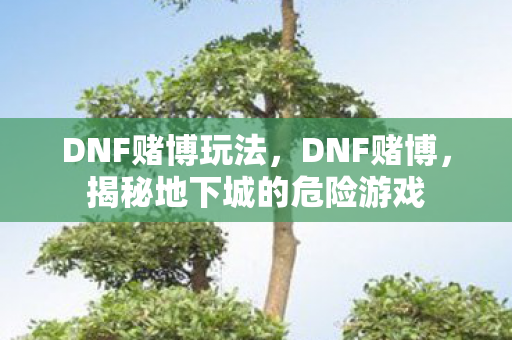 DNF赌博玩法，DNF赌博，揭秘地下城的危险游戏
