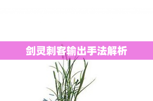剑灵刺客输出手法解析 剑灵刺客输出手法解析