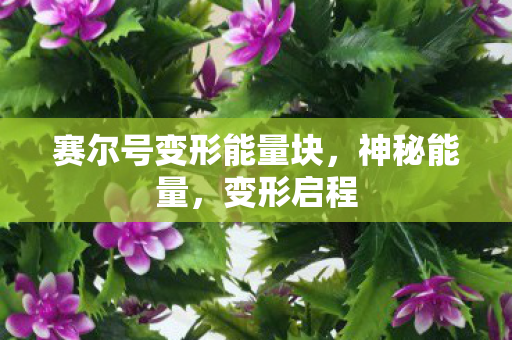 赛尔号变形能量块，神秘能量，变形启程