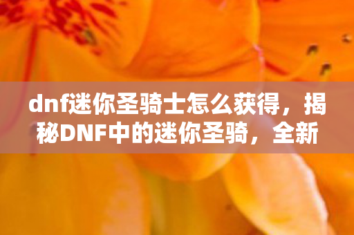 dnf迷你圣骑士怎么获得,揭秘DNF中的迷你圣骑,全新角色魅力与独特玩法体验 dnf迷你圣骑士怎么获得,揭秘DNF中的迷你圣骑,全新角色魅力与独特玩法体验