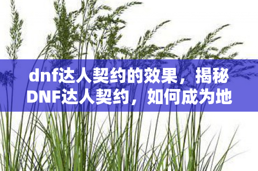 dnf达人契约的效果,揭秘DNF达人契约,如何成为地下城与勇士领域的顶尖高手? dnf达人契约的效果,揭秘DNF达人契约,如何成为地下城与勇士领域的顶尖高手?