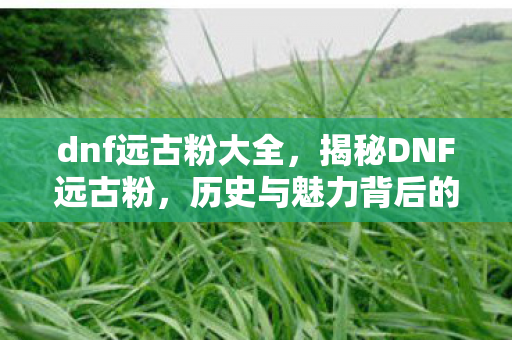 dnf远古粉大全，揭秘DNF远古粉，历史与魅力背后的故事