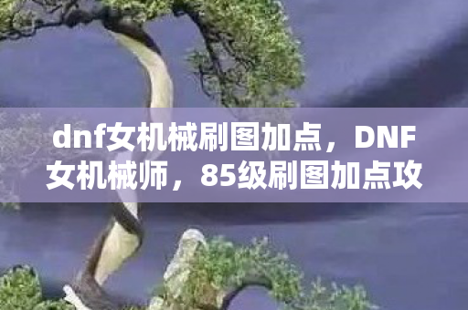 dnf女机械刷图加点,DNF女机械师,85级刷图加点攻略与技能解析 dnf女机械刷图加点,DNF女机械师,85级刷图加点攻略与技能解析